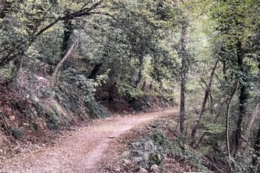 8 “pilastri” per mantenere il cervello attivo ed efficiente